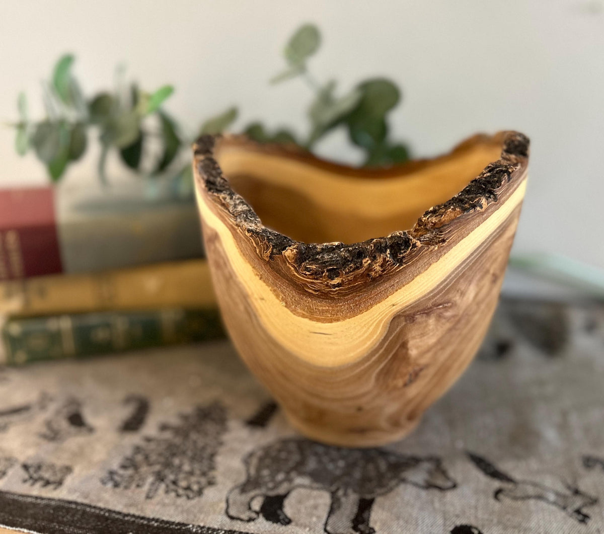 Live Edge Elm Wood Bowl, 7.5 Inch, photo 4 of 5