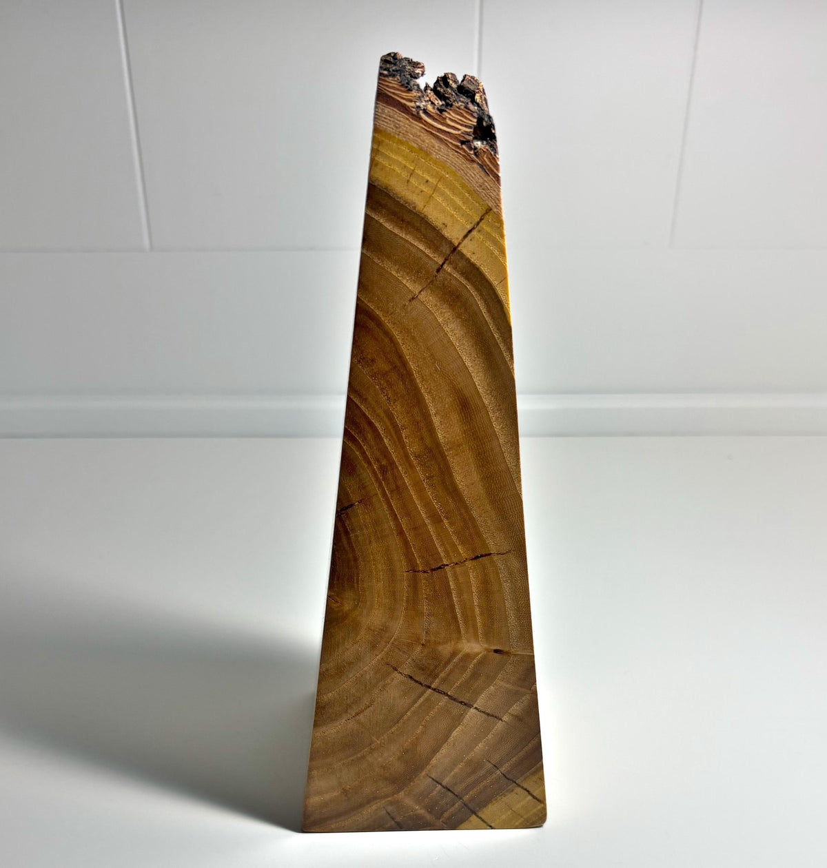 Live Edge Elm Wood Obelisk, 8.25 Inch, photo 1 of 3